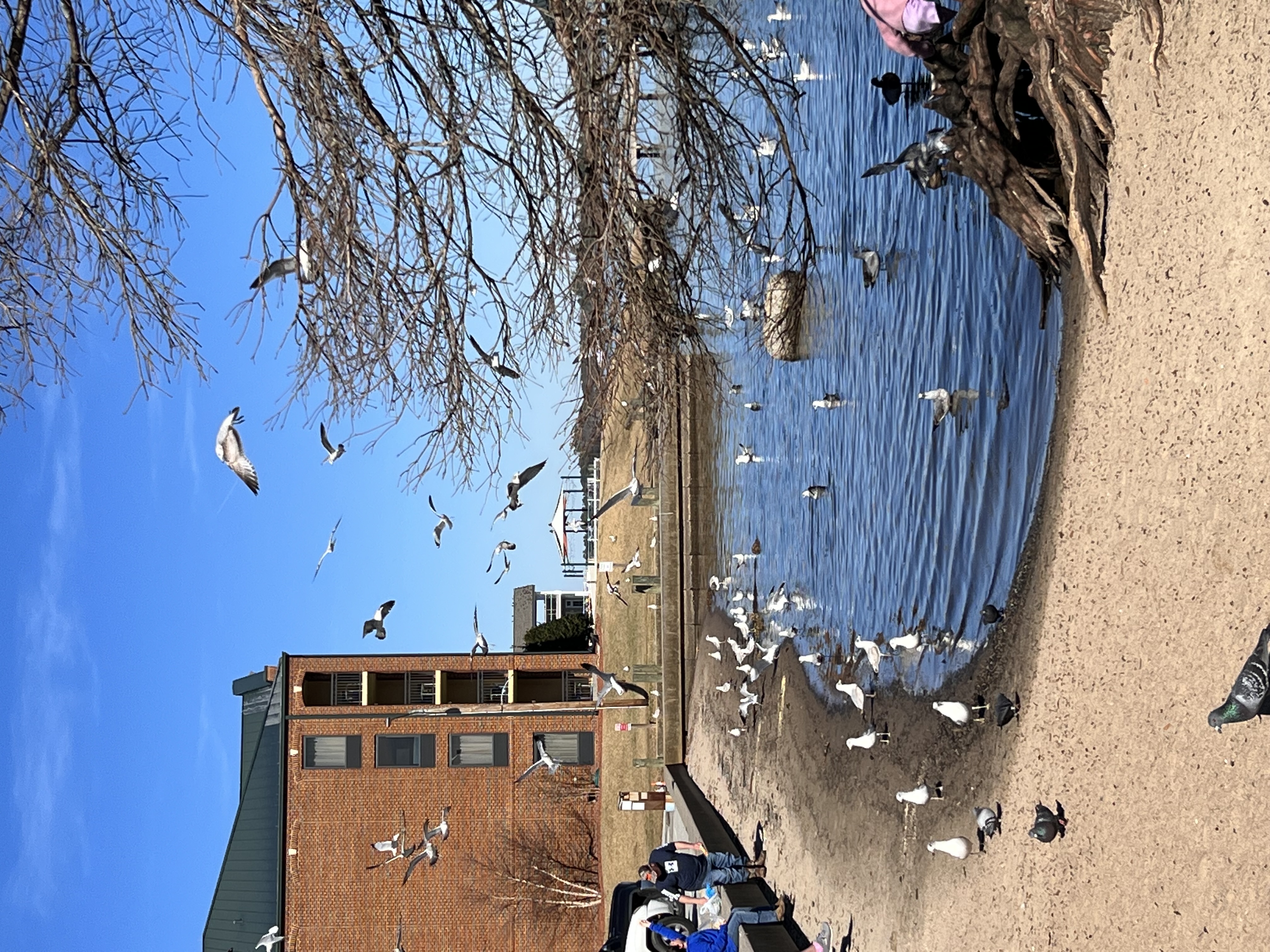 ./2023/01 - New Bern/IMG_6263.JPG